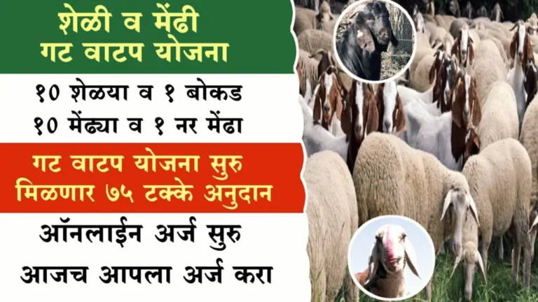 शेळी-मेंढी गट वाटप योजनेसाठी अर्ज प्रक्रिया – स्टेप बाय स्टेप मार्गदर्शन