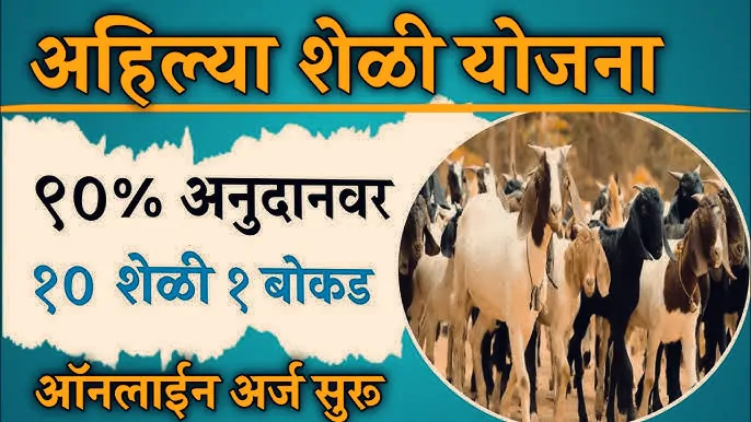 शेळ्या-मेंढ्या गट वाटप योजना: ७५% पर्यंत अनुदान! ऑनलाइन अर्ज कसा करायचा?