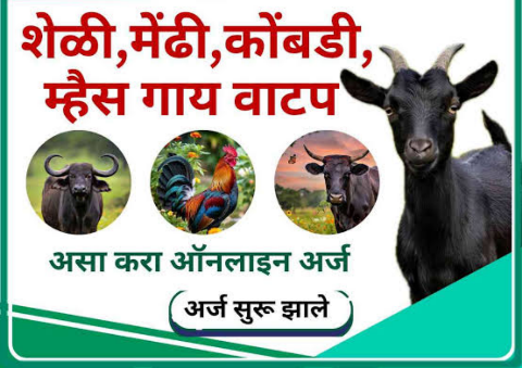 शेळ्या-मेंढ्या गट वाटप योजना: ७५% पर्यंत अनुदान! ऑनलाइन अर्ज कसा करायचा?