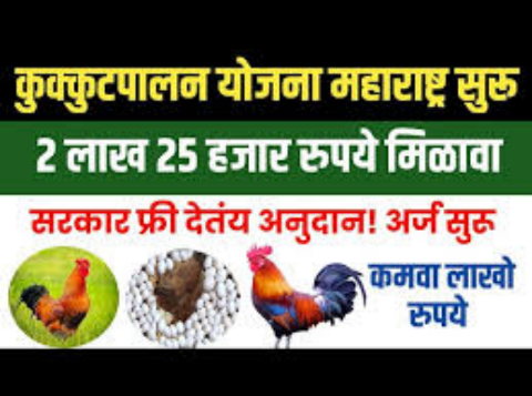 अनुदानावर कुक्कुटपालन करा आणि महिन्याला लाखो रुपये कमवा: संपूर्ण माहिती मिळवण्यासाठी येथे क्लिक पहा