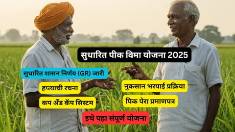 सुधारित पीक विमा योजनेत कोण, किती नुकसान भरपाई देईल? सविस्तर माहिती