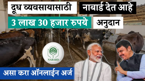 नाबार्ड देत आहे दूध व्यवसायासाठी तीन लाख तीस हजार रुपये अनुदान, पहा संपूर्ण माहिती आणि अर्ज प्रक्रिया
