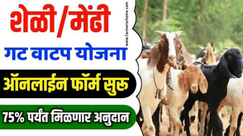 शेळ्या-मेंढ्या गट वाटप योजना: ७५% पर्यंत अनुदान! ऑनलाइन अर्ज कसा करायचा?